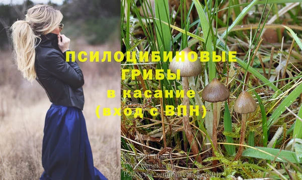 каннабис Алексеевка