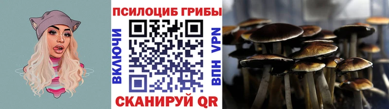 купить Динская Галлюциногенные грибы мухоморы